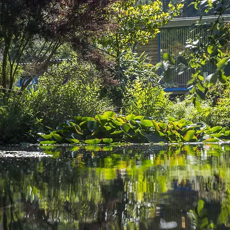 A De Carmen Cabana Moura